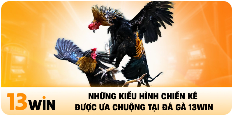Những kiểu hình chiến kê được ưa chuộng tại đá gà 13Win